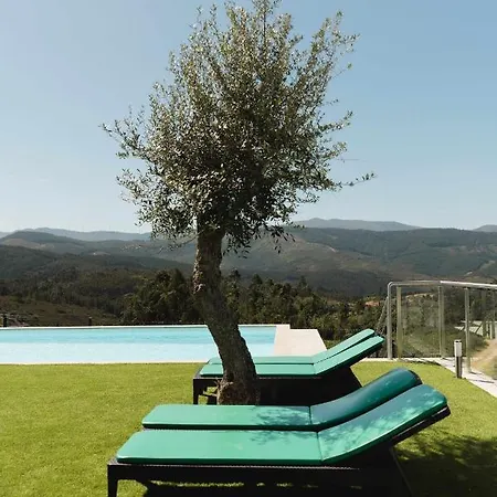 Casa Dos Mirtilos Legacy T7 سيلوريكو دي باستو